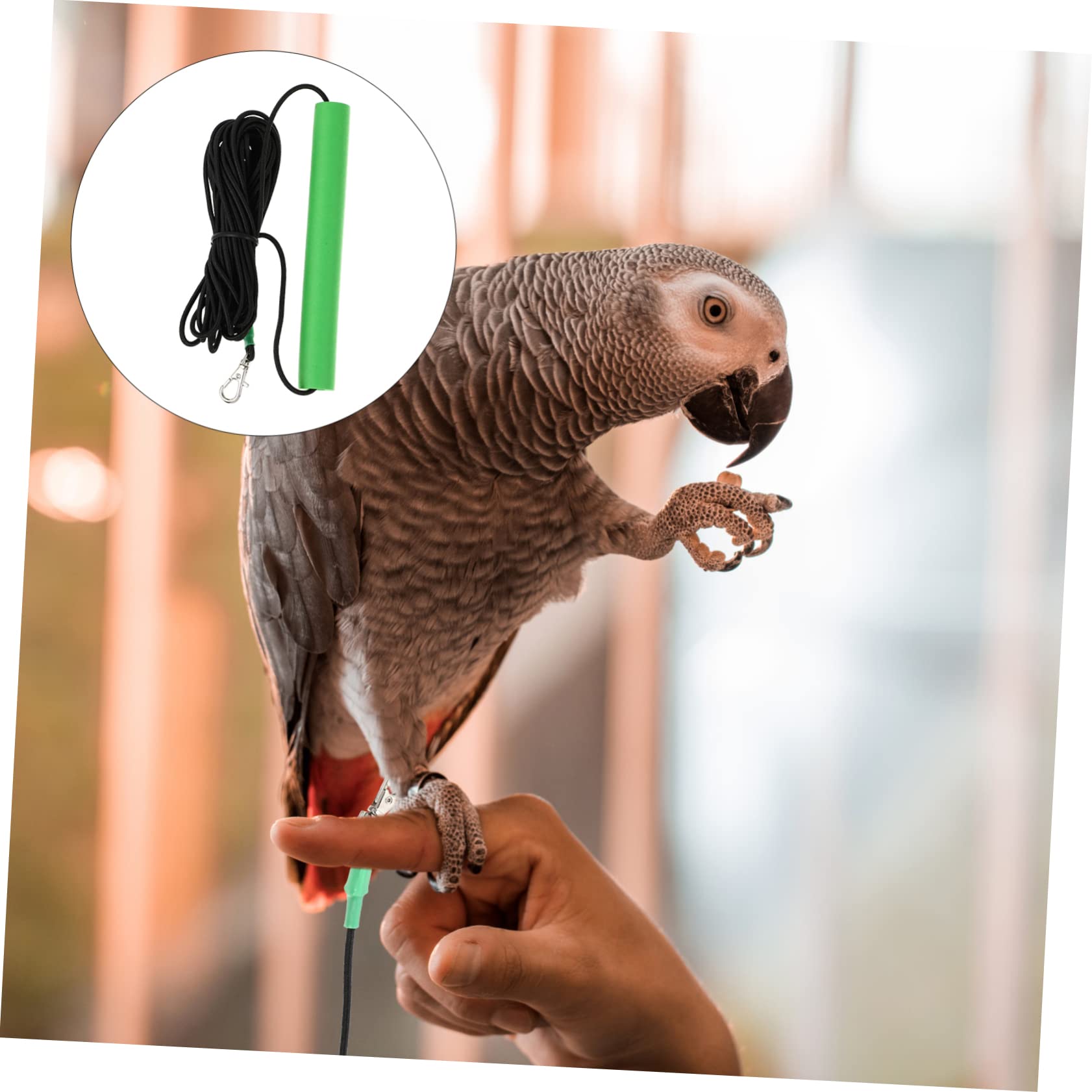2 Correas para Pájaros Loros Cómodas Y Ligeras Ideales para Volar al Aire
