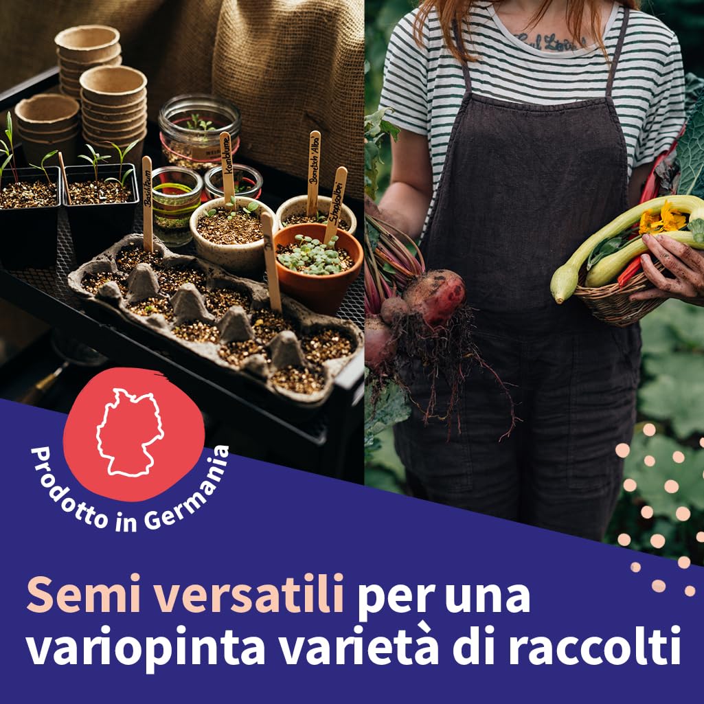 Set Semi Erbe Aromatiche - 12 Varietà Per Orto, Balcone O Giardino - Profumate E Facili Da Coltivare - Foto 3