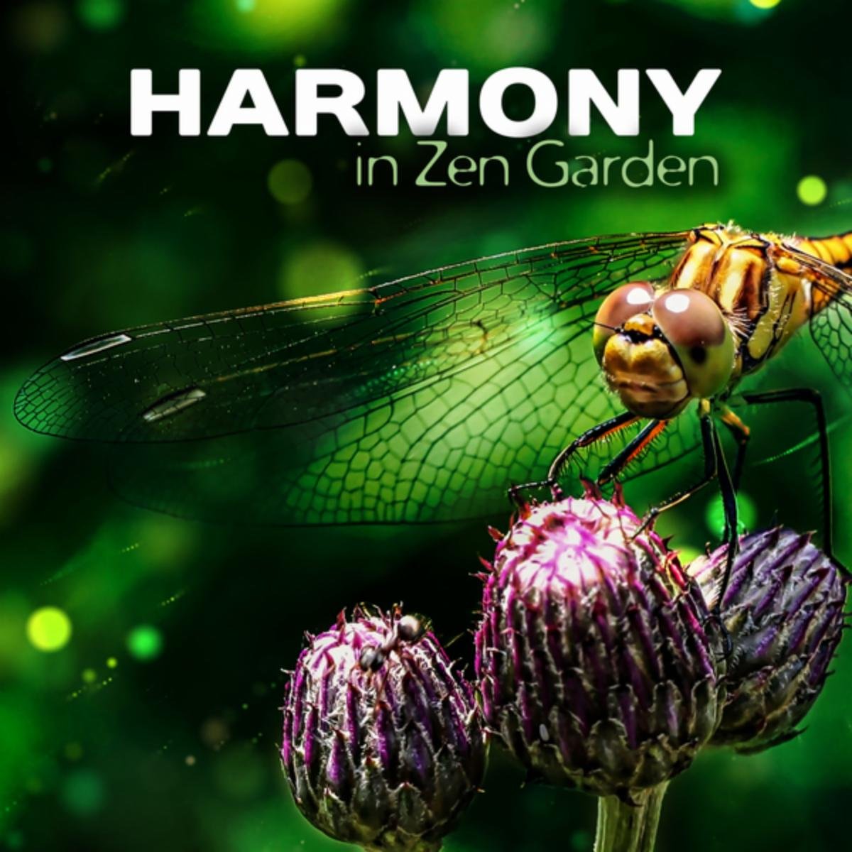 Garden of Zen Music / Mothers Nature Music Academy