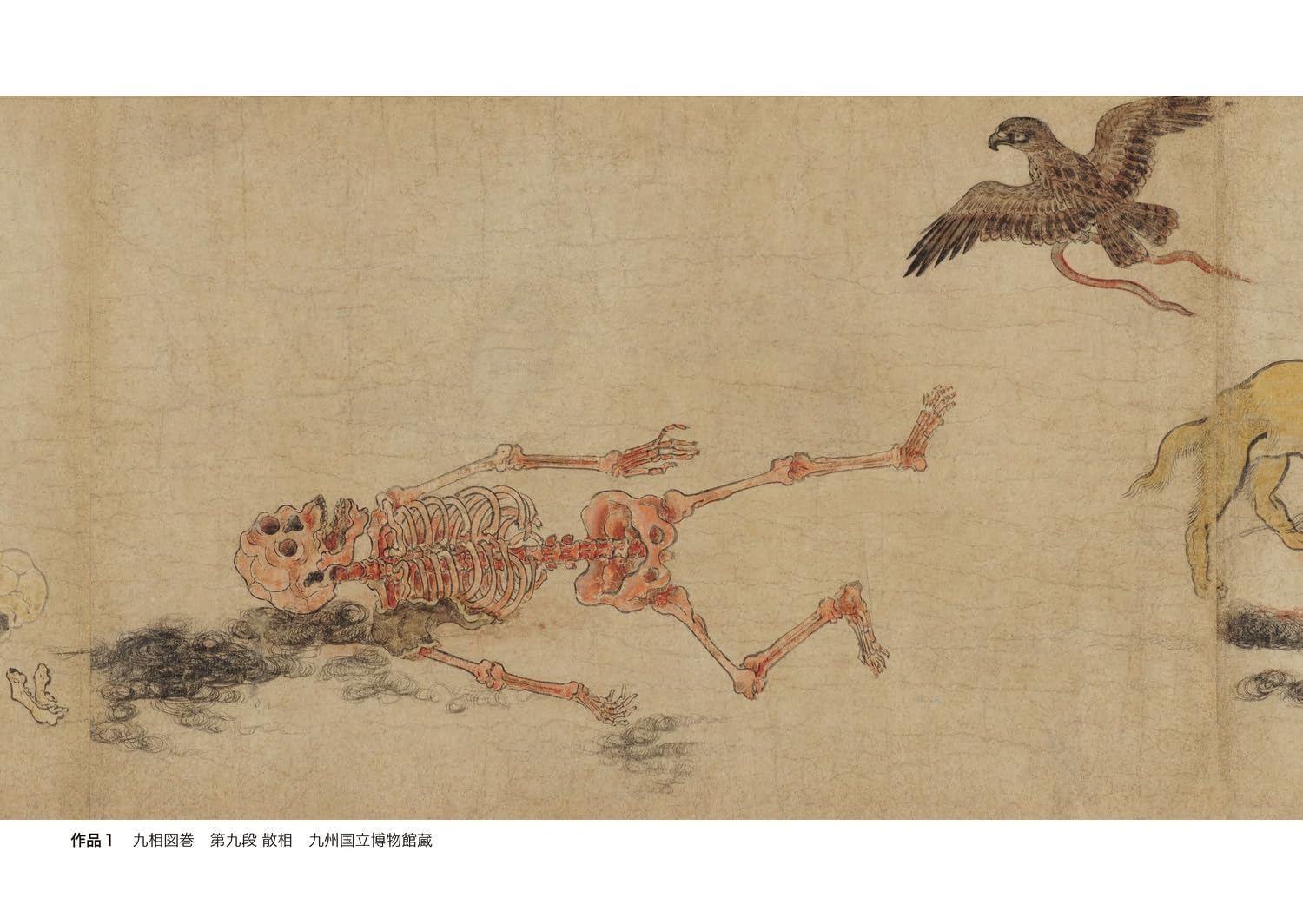 Amazon.co.jp: 山本 聡美: 本、バイオグラフィー、最新アップデート