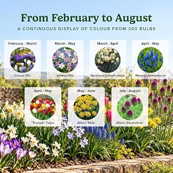 YouGarden 300 Spring Flowering Bulb Mixed Pack