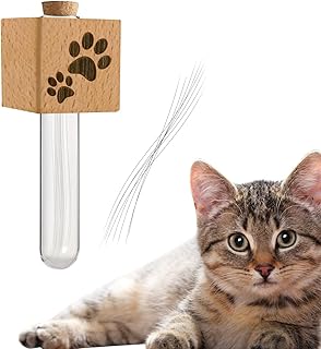 Cat Whisker Holder Fridge Magnet, Whisker Vase, Tiny Vase for Whisker, Cat Whisker Jar, Beech Wood