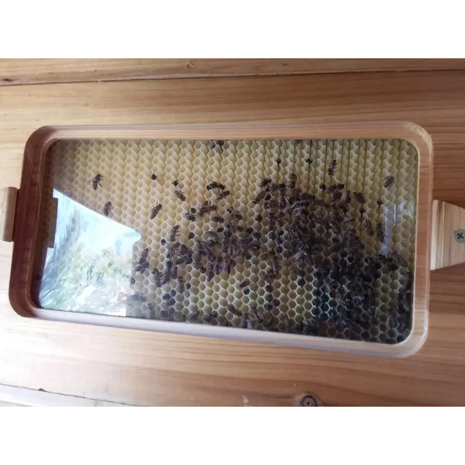 Automatisches Bienenstockhaus-Set aus Holz, 7-teilig, automatischer Bienenstock-Rahmen für den Anfang, Honigfluss, Honigbox, Kunststoff-Nestrahmen, Imkerhaus