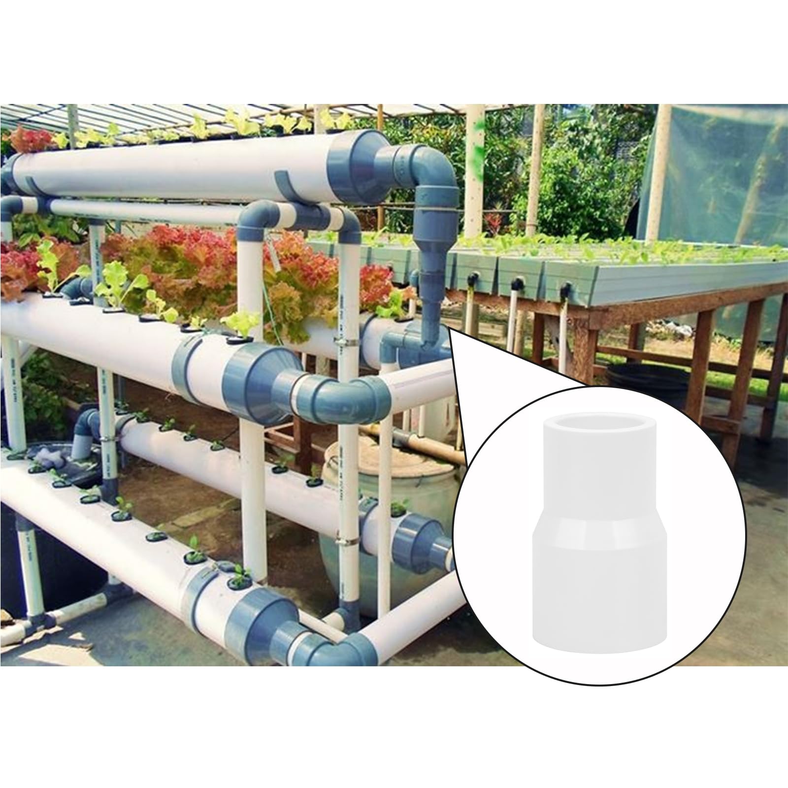 Snapklik 20Pack 3 4 X 1 2 PVC DWV Reducer Coupling Adapter snapklik-20pack-3-4-x-1-2-pvc-dwv-reducer-coupling-adapter