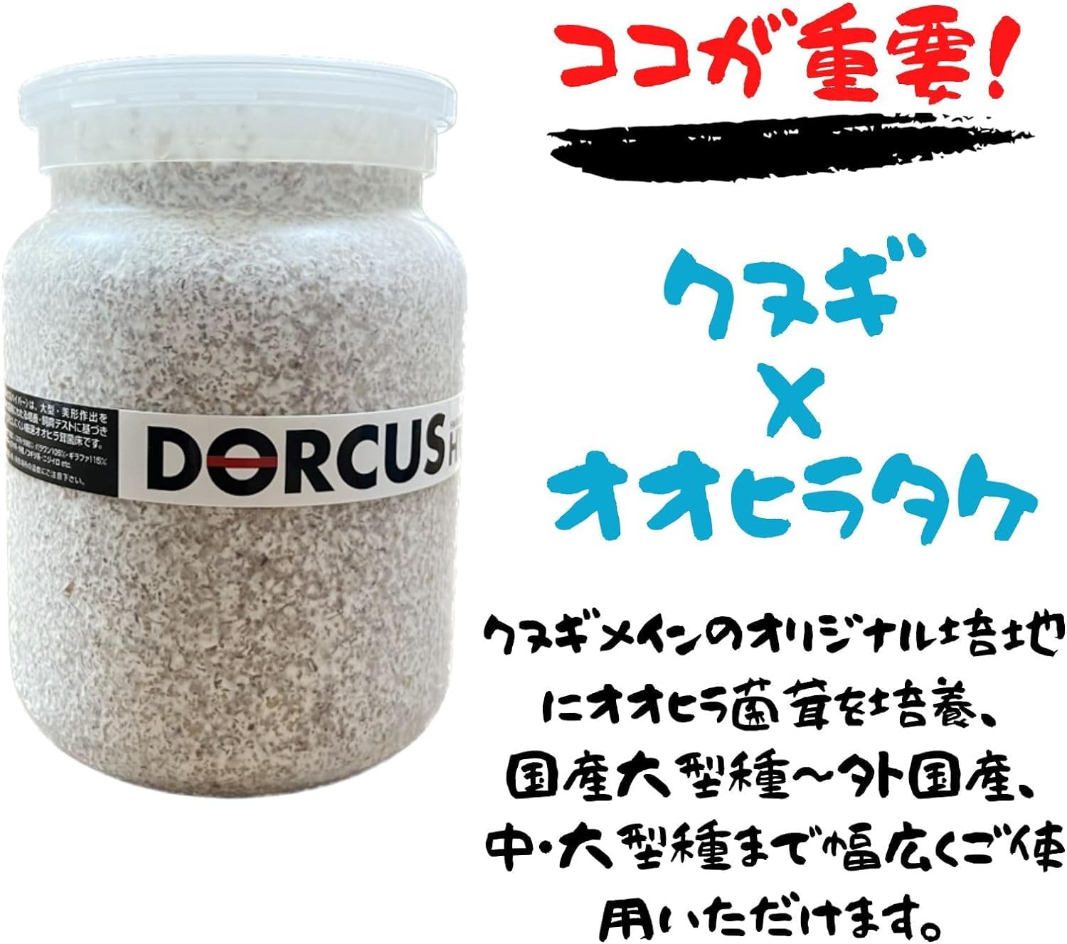 Amazon | 【3個セット】DORCUS 菌糸ビン オオヒラ茸菌 800cc