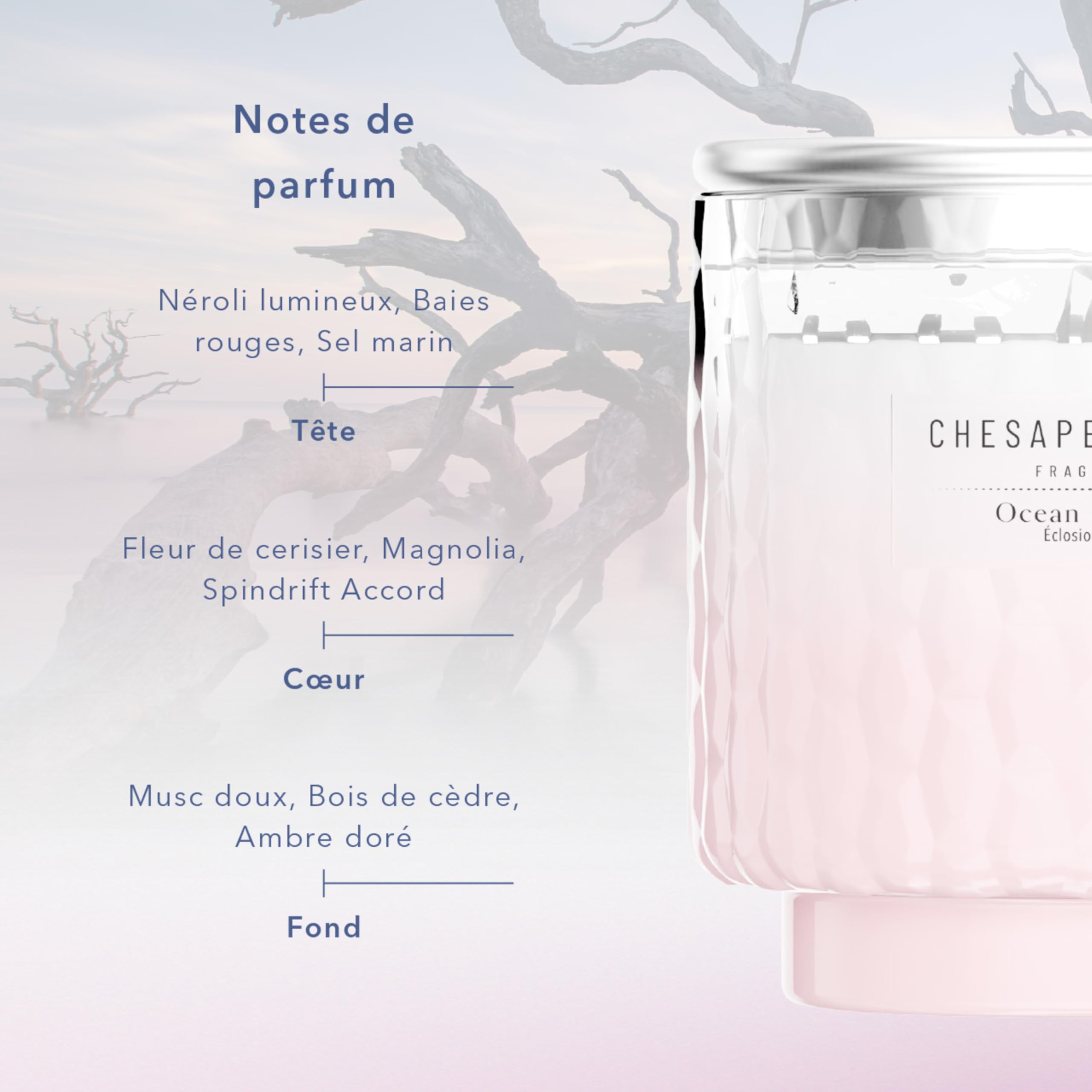 Chesapeake Bay | Diffuseur de parfum à bâtonnets | Fleur d’océan | Superbe cadeau pour les femmes