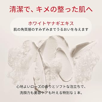 SK-II Facial Treatment Gentle Cleanser 120g with Pitera