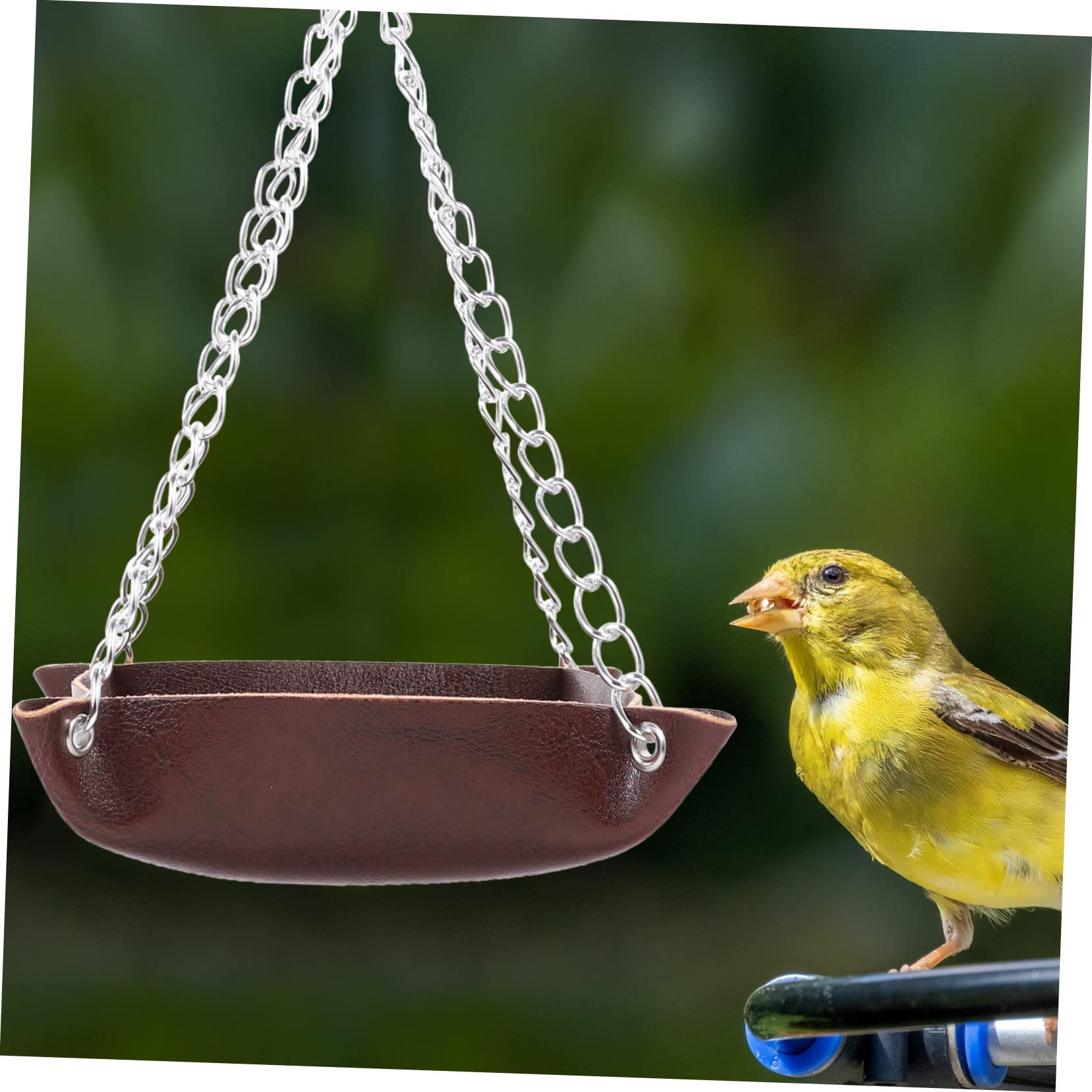 Mipcase 4pezzi Mangiatoia Per Uccelli Da Appendere Materiale Resistente Strumento Di Alimentazione Per Giardino Con Design Vassoio Per Pappagalli e Altri Volatili Facile Da Pulire e