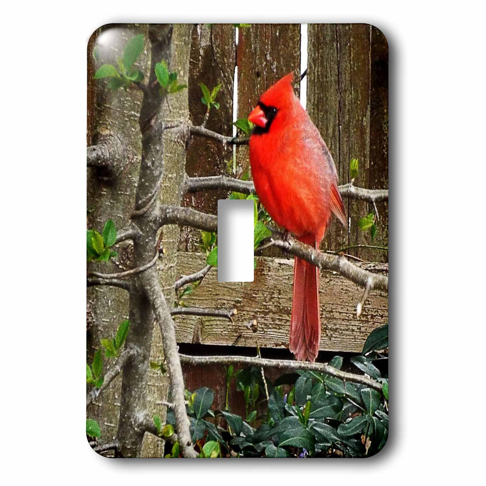 Interrupteur cardinal rouge decor nature pour salon et chambre chaleureuse