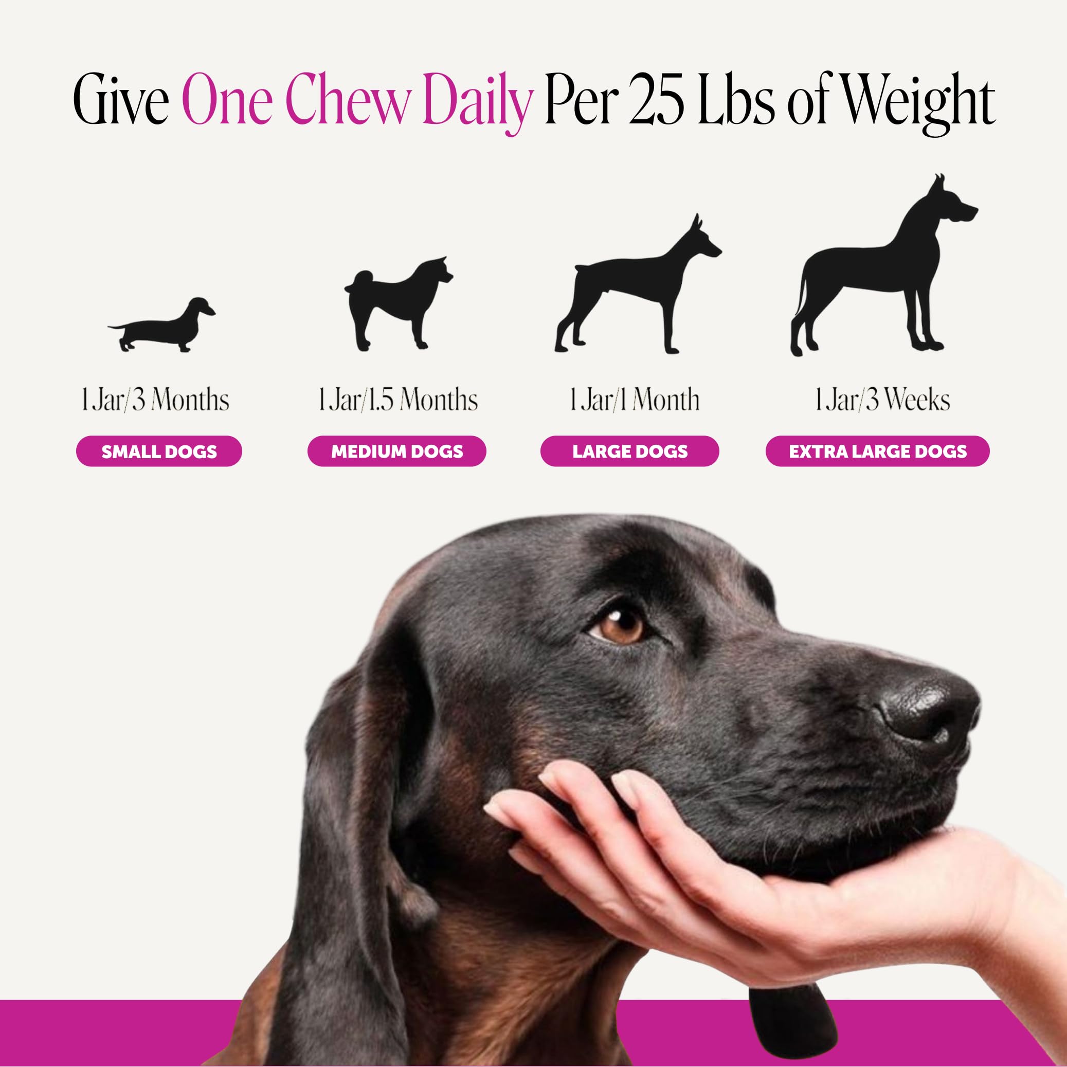 Pet Honesty Vet Recommended Senior Dog Multivitamin, 90 Ct, Duck — Amazon image 5