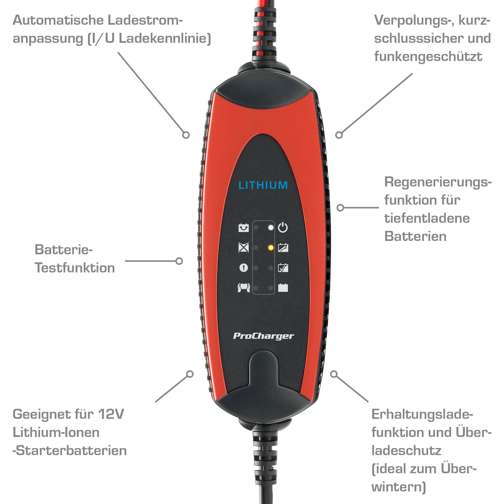 ProCharger 1.000 Lithium Batterieladegerät, Intelligentes Motorrad- & Autobatterie Ladegerät für 12 V Lithium-Ionen-Starterbatterien, Erhaltungsladefunktion, Überladeschutz, Batterie-Testfunktion