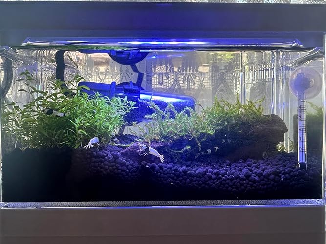 Amazon | Yjhyuxi 水槽 セット 小型 アクアリウム【インボイス制度登録