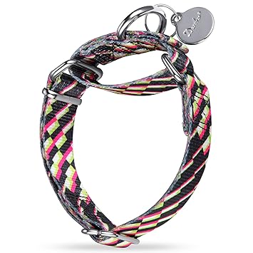 Dazzber Soft Slip and Martingale Dog Collar, No Pull Pet Collar Silky Plaid and Colorful Pattern for Medium and Large Dogs (Medium, 3D Colorful Pink)