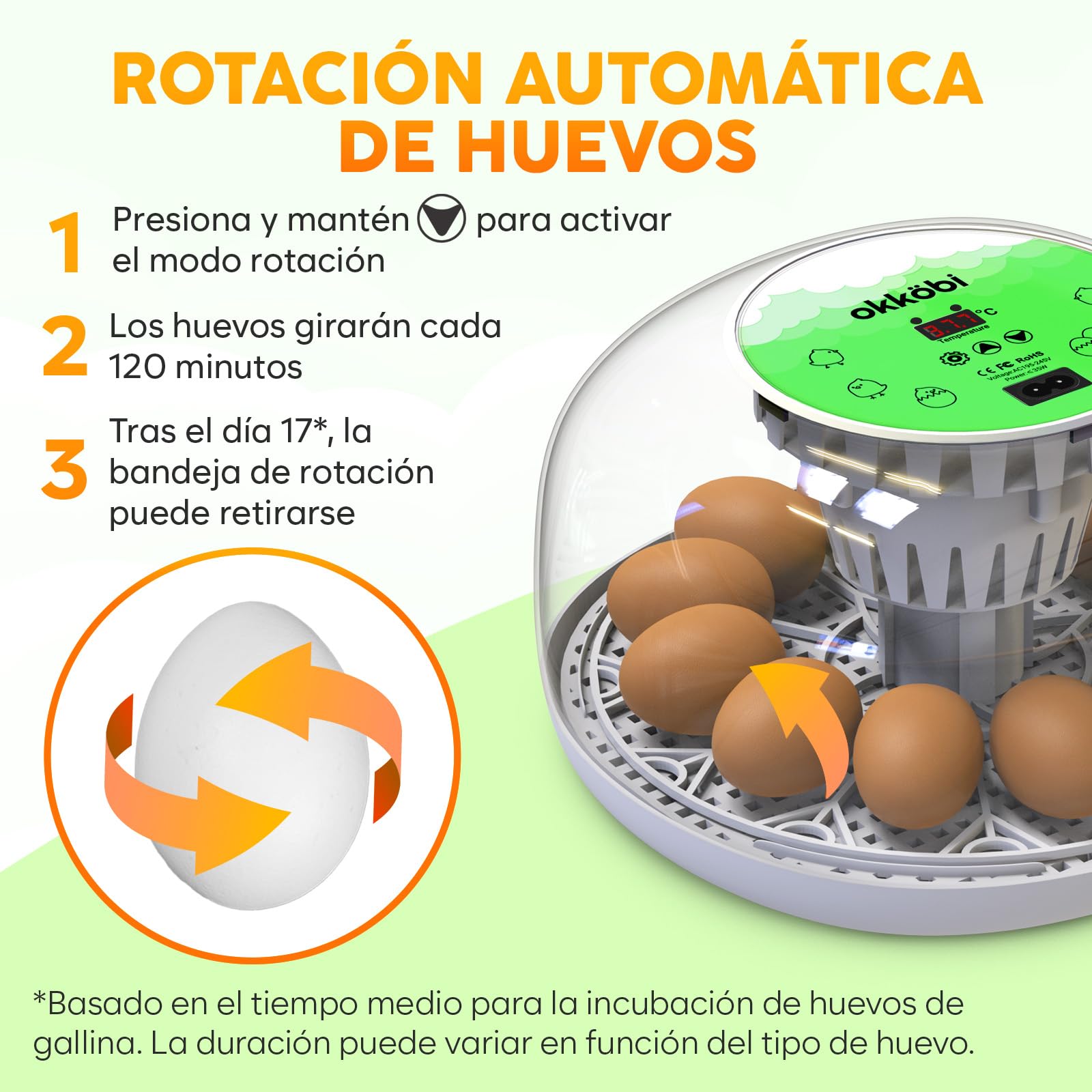 Okkobi M12 - Incubadora Huevos Gallina Automática - Volteo Automático y Control de Humedad - Chocadeira Ovos Automática - 12/24 huevos, Vista 360°, fácil de usar y limpiar - Blanco y verde