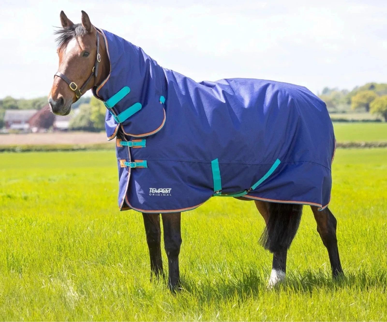 Horse Masters Shires Tempest Original 100g Horse Turnout Combo Rug – Waterproof & Breathable 600D Ripstop Outdoor Horse Rug with Neck Cover, Tail Flap & Adjustable Straps