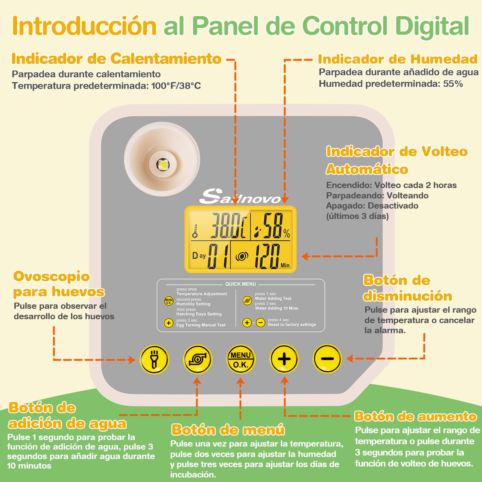 Sailnovo Incubadora de Huevos Automática 48 Huevos con Control Preciso Temperatura/Humedad, Volteador Automático de Huevos, Vista 360°, Ovoscopio Para Huevos, Para Gallina/Pato/Codorniz,Verde