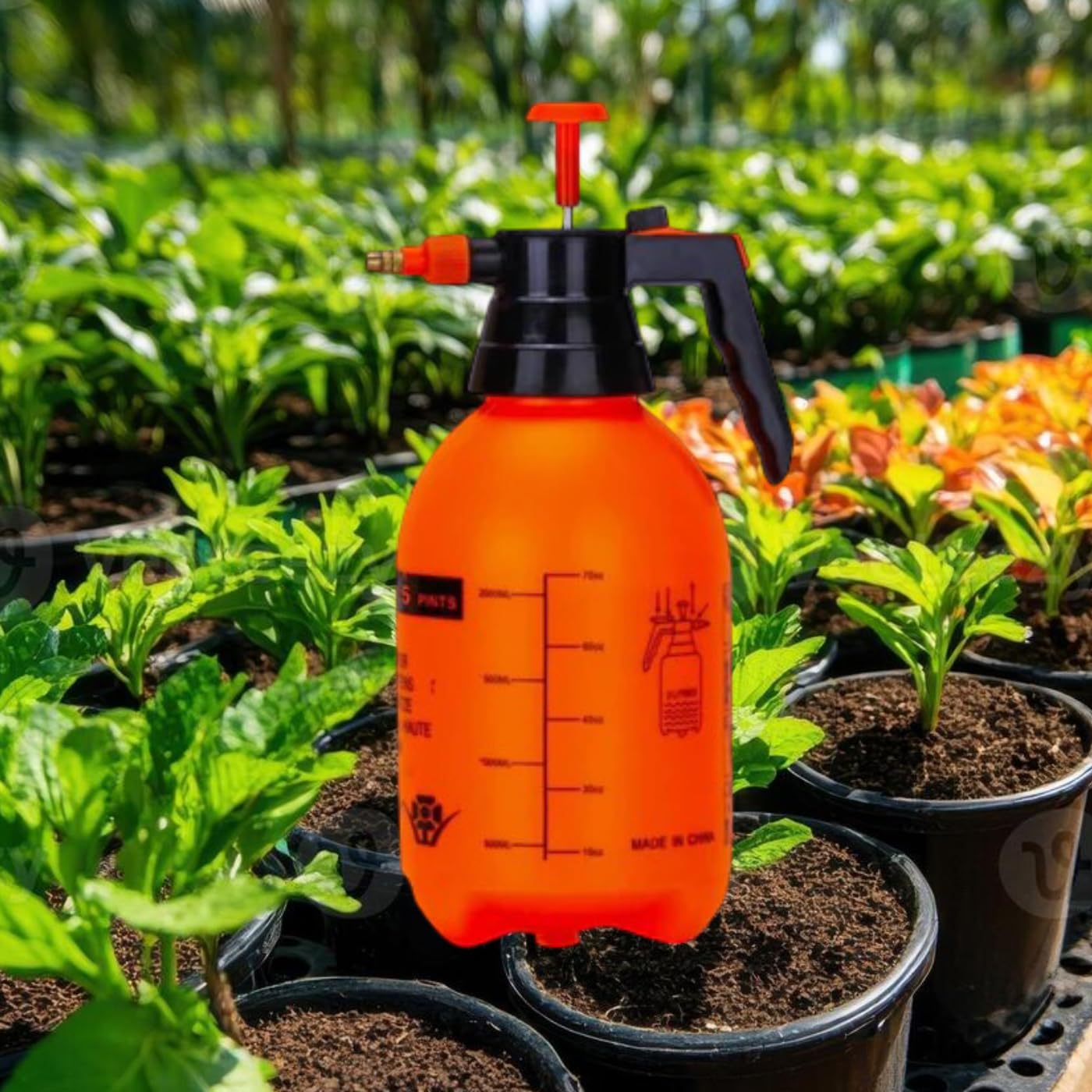 2-Liter Pump Pressure Sprayer – Handheld Garden Sprayer with Adjustable Brass Nozzle for Plants, Lawn, Cleaning, and Fertilizing – 2L-image-23