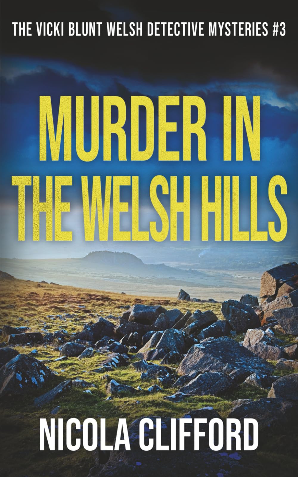 MURDER IN THE WELSH HILLS a gripping Welsh crime thriller (The Vicki Blunt Welsh detective mysteries)