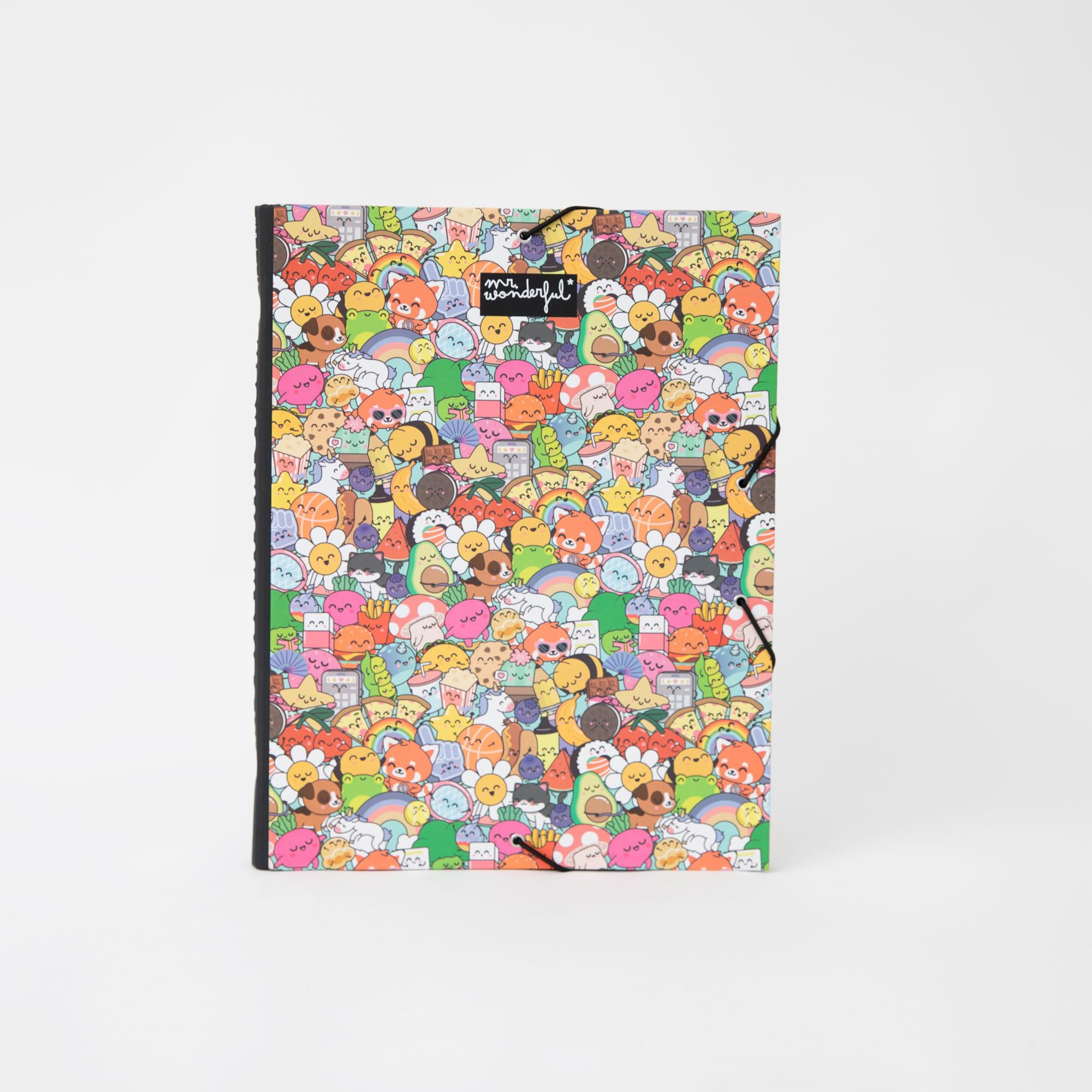 Mr. Wonderful - Folder with dividers - Every Day is My Best Day - Elastic Closure - 12 dividers