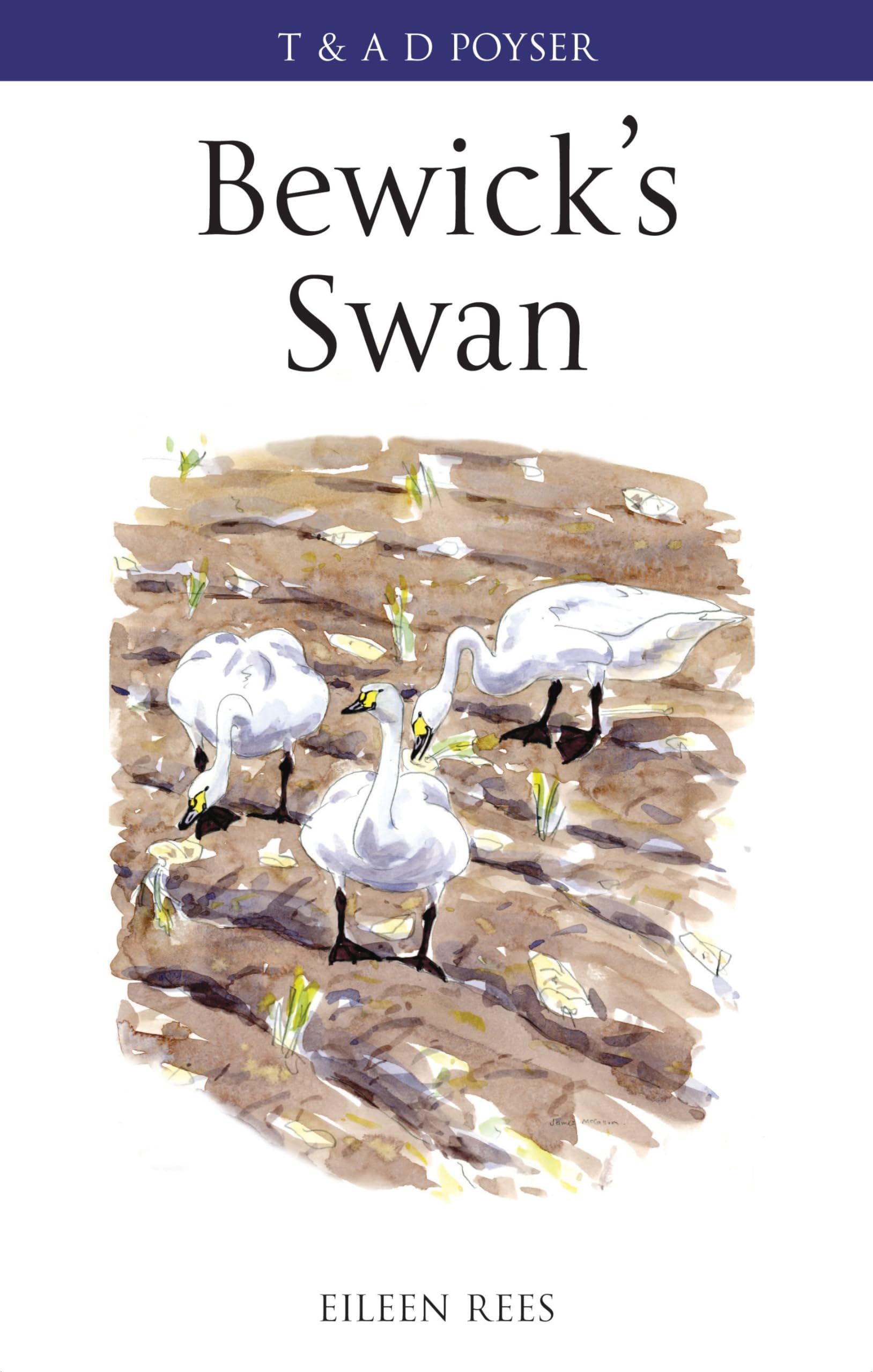 Buy Bewick's Swan — BookShops.in