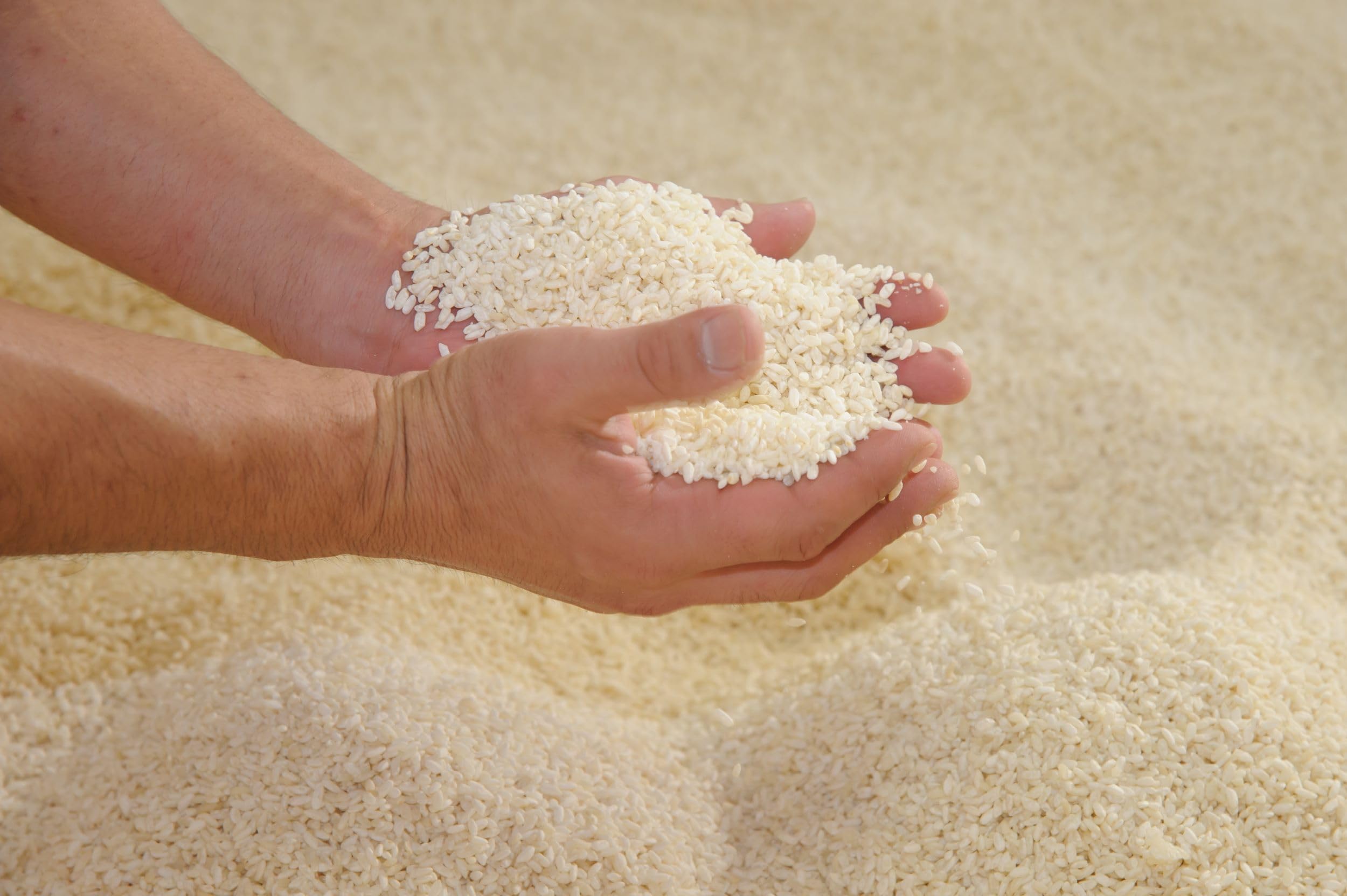 Amazon.co.jp: 内山味噌店「味噌屋 謹製」 天然酵母と発酵バターの