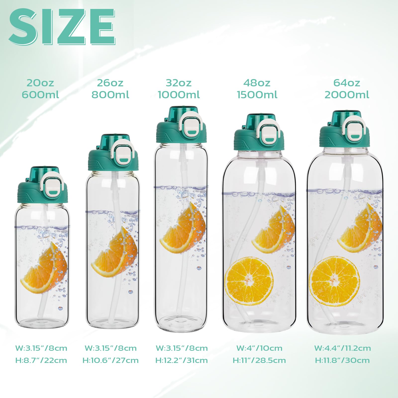 View 6