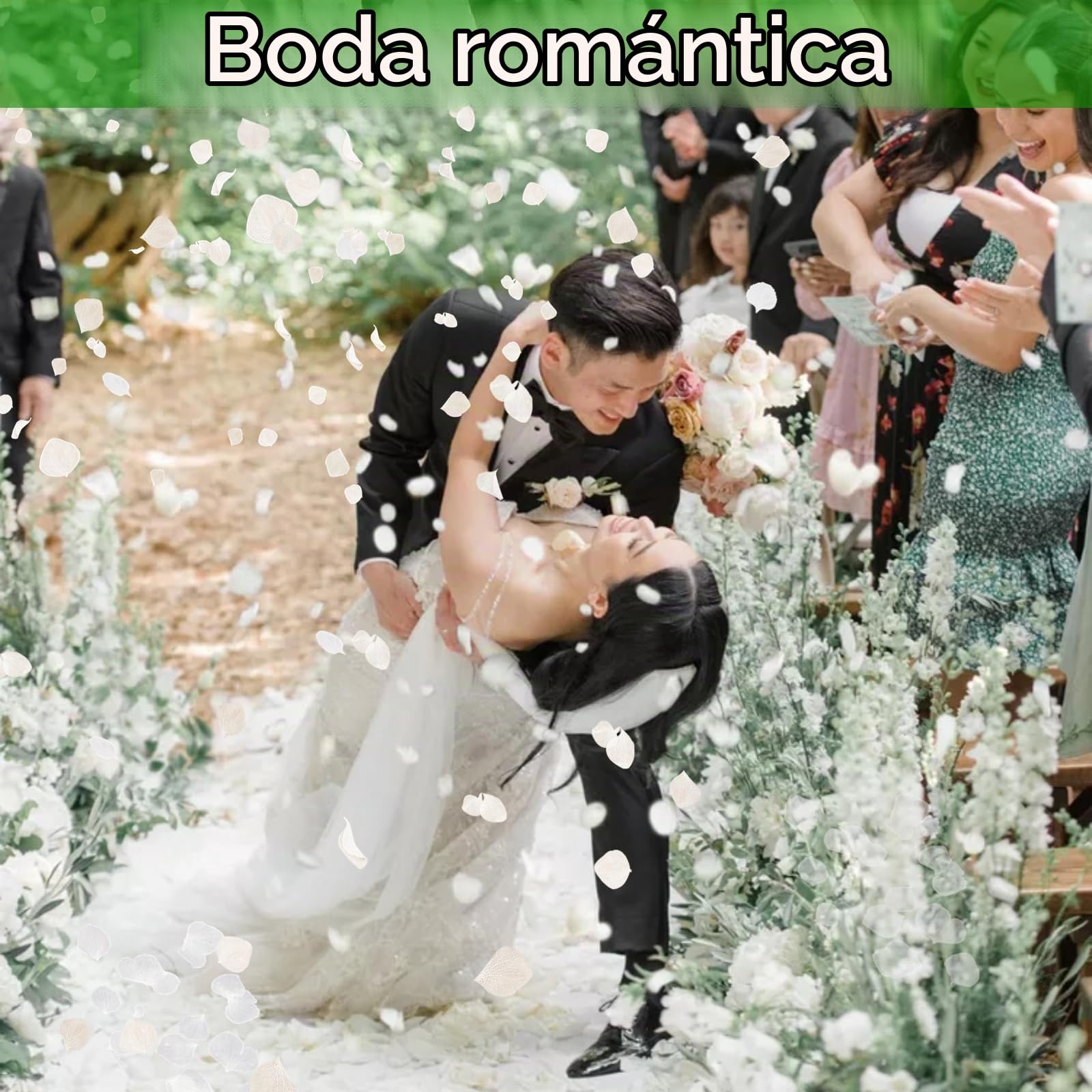 Más de 2500 pétalos de hortensia blancos secos reales de Lvory – 1.7 onzas preservadas de flores naturales para decoración de bodas, confeti de fiesta, centros de mesa de cena, manualidades