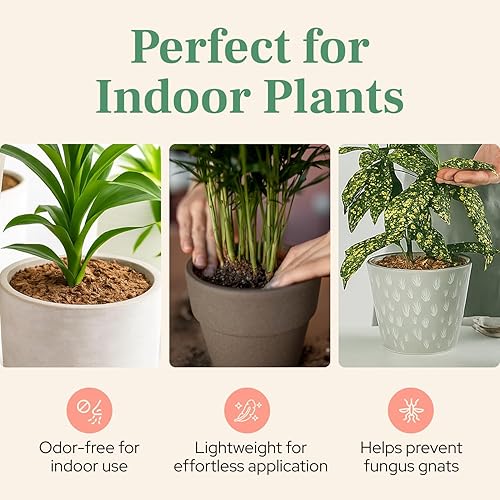 Miniatura 3 de Urban Thumb and Co - Mantillo ultrafino para plantas de jardín - Cubierta superior para plantas de interior y exterior en maceta, tamaño compacto,