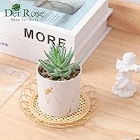 Vista 3 de Der Rose Juego de 2 plantas suculentas artificiales Mini plantas suculentas falsas para accesorios de oficina y hogar para mujeres