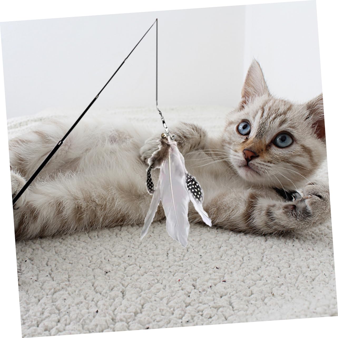 Kisangel Lot De 4 Jouets pour Chat Bâtonnets Interactifs Et Robustes Lot De 2 X 4