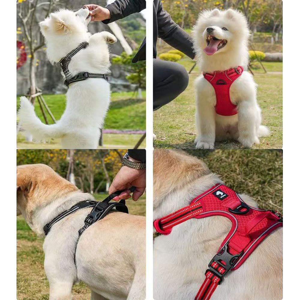 Este arnés antitirones está diseñado específicamente para Beauceron. Cuenta con un asa y un diseño Tipo Chaleco Reflectante Ajustable. Black S