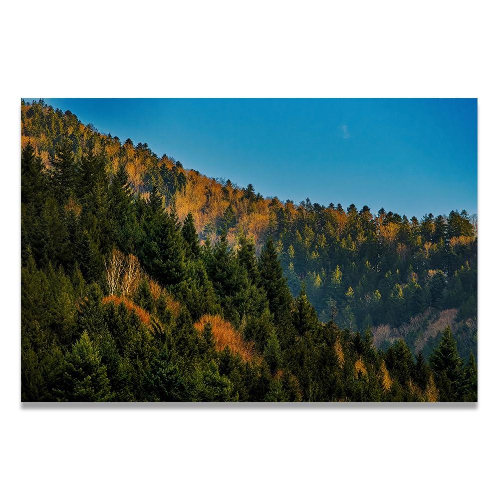 VHdfgTY Amidst The Mountains And ForestsElegant Mountain Landscape Canvas Wall Art Nature Scenery Home Decor 20x30cm Unframed