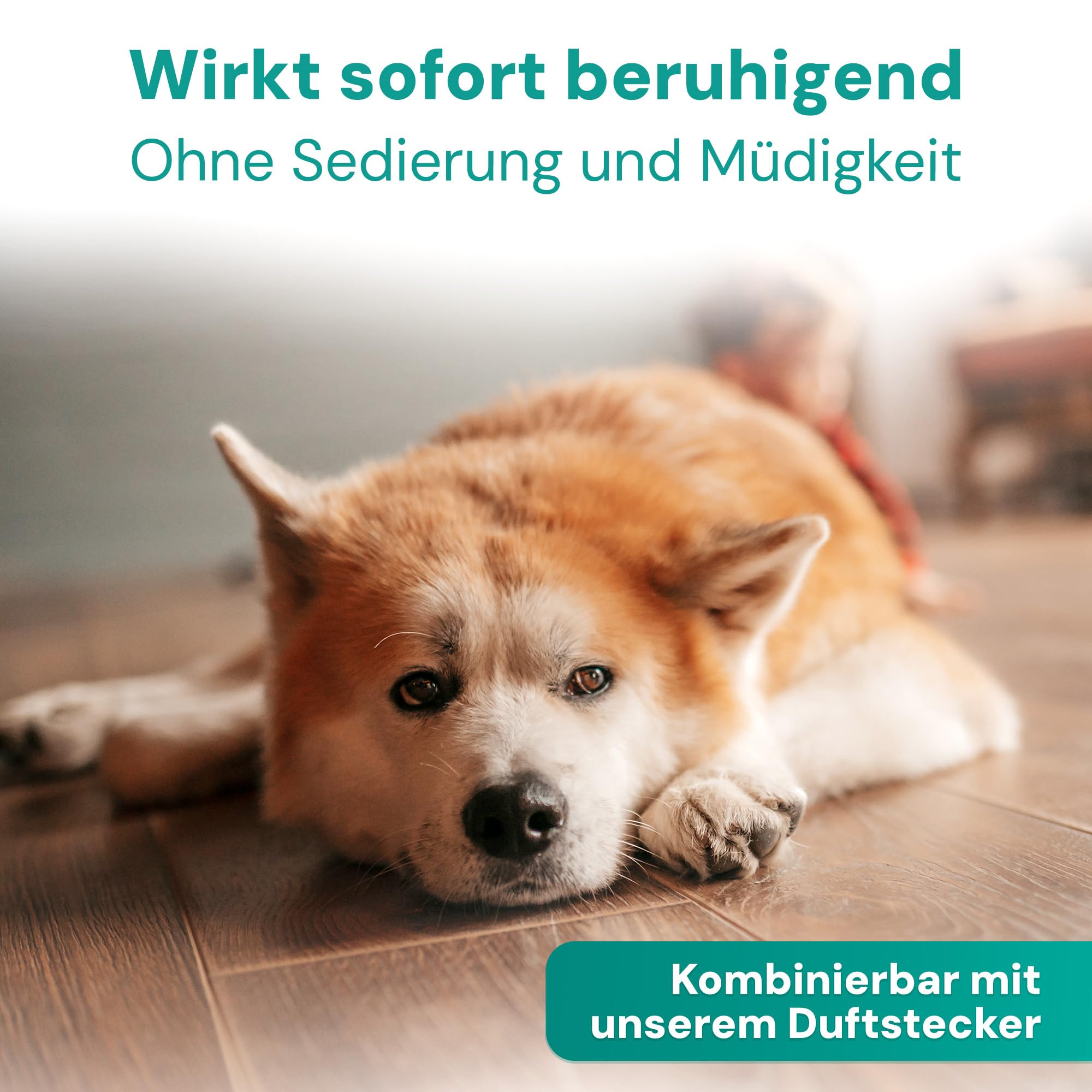 Emmi Pet Remedy Beruhigungsspray 200 ml – Natürliches Anti-Stress Spray für Hunde, Katzen & Haustiere I Beruhigung bei Angst, Trennung, Reisen & Feuerwerk I Mit Baldrian, Vetiver & ätherischen Ölen