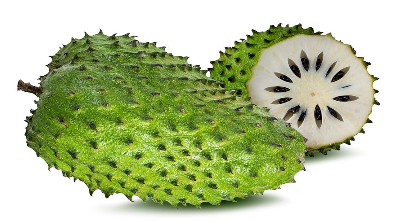 Photo 1 of 10 Pack Fresh Soursop Seeds- 100% Fresh Natural Soursop Fruit Guanabana Seeds 10x…