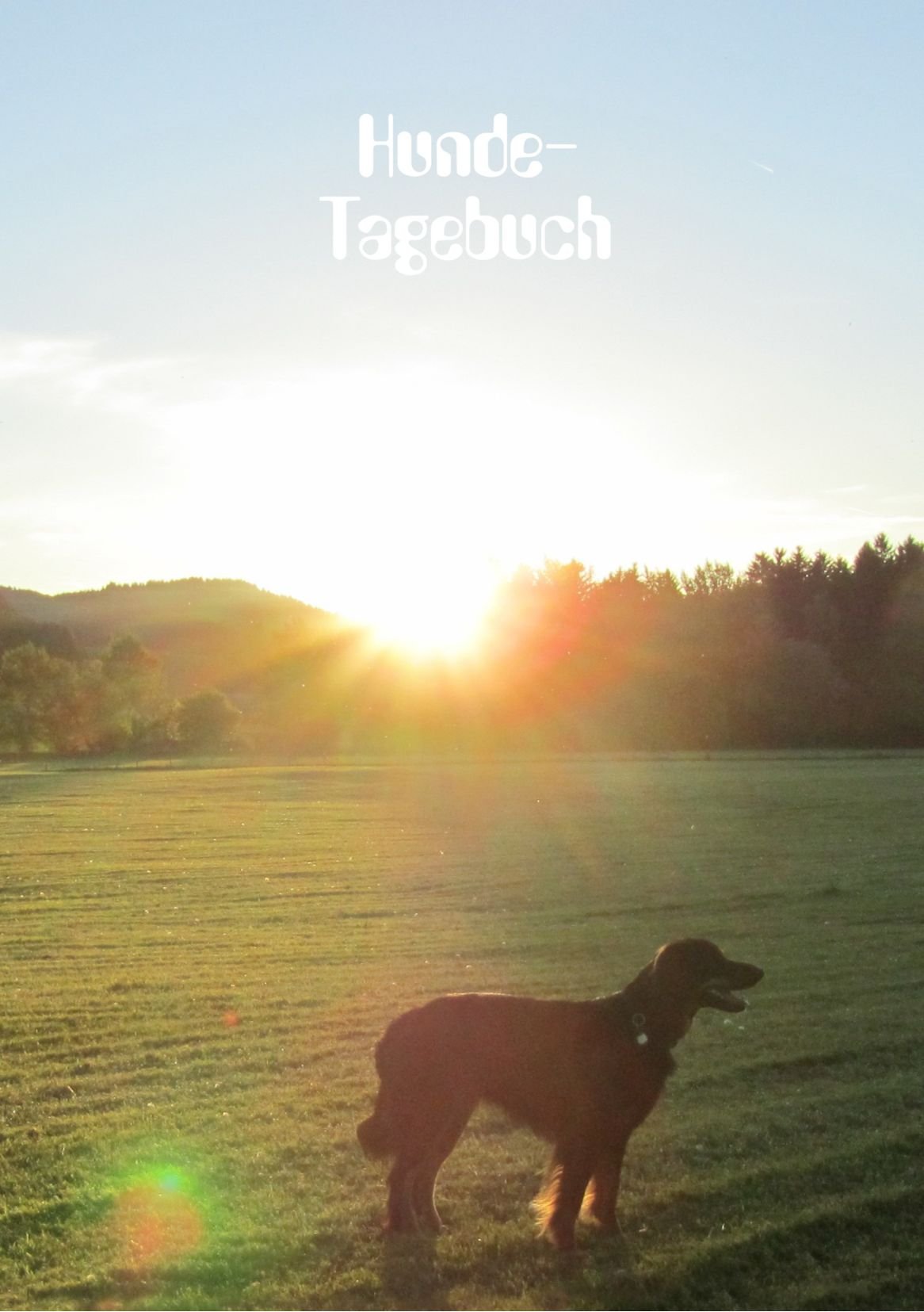 Hunde Tagebuch - Notizbuch: Notizheft, DIN A5, liniert, 108 Seiten