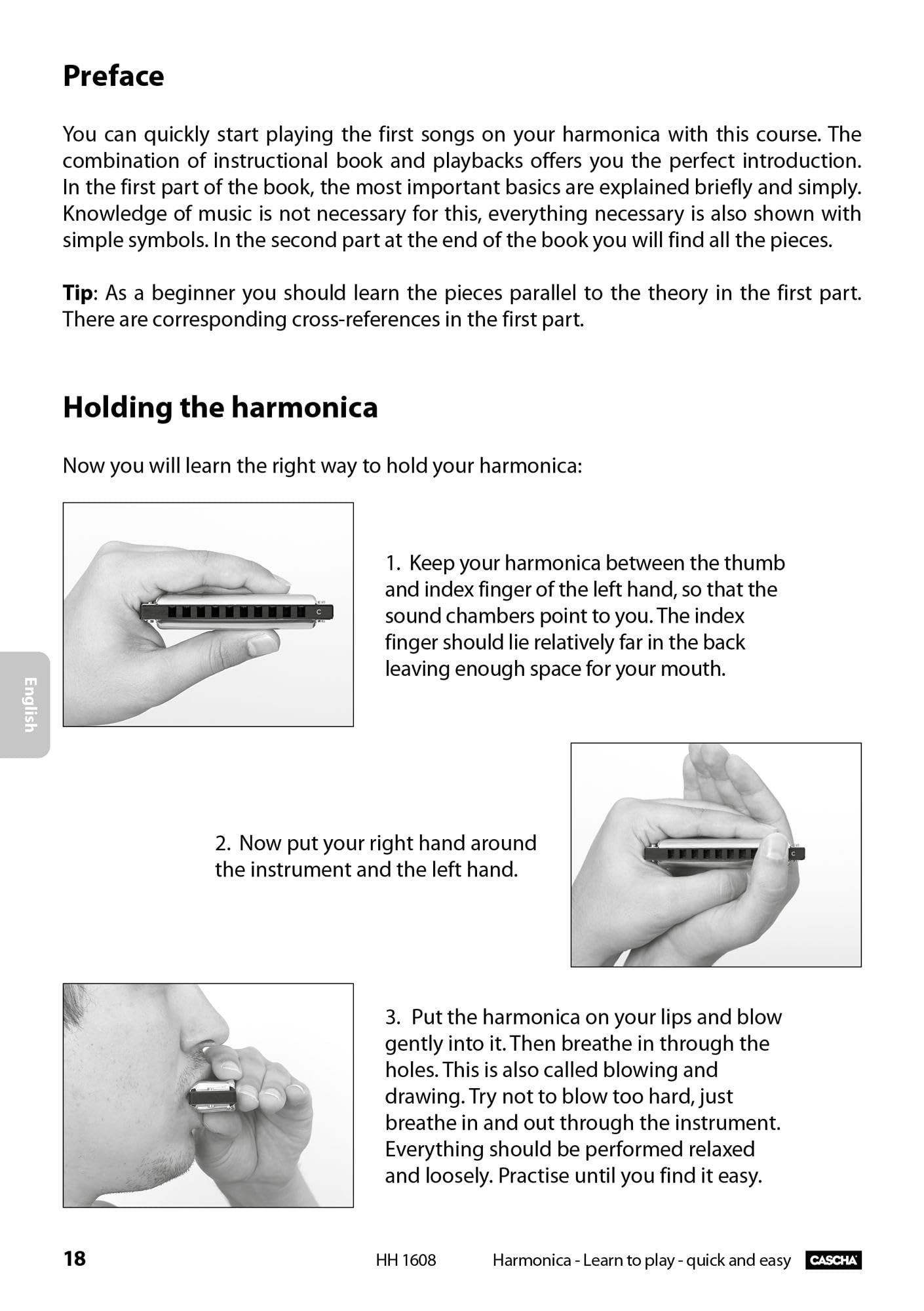Master Edition Blues Harmonica Set, (incl. 4 languages Method (DE/EN/FR/ES), case, cleaning cloth)