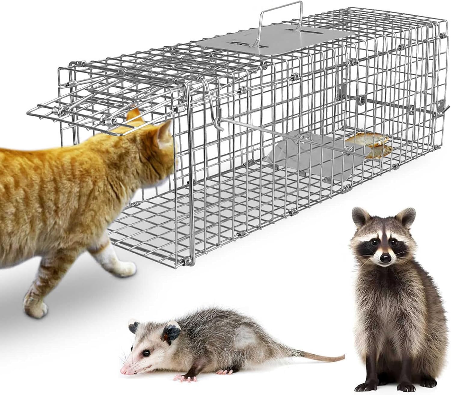 Live Animal Cage Trap, Collapsible Humane Live Animal Cage Trap, Galvanized Steel Humane Live Trap Cage for Stray Cat, Groundhog, Raccoon, Squirrel,Chipmunk,Mole,Gopher,Skunk - 24"x7.3"x8" Medium 24" x 7.3" x 8"