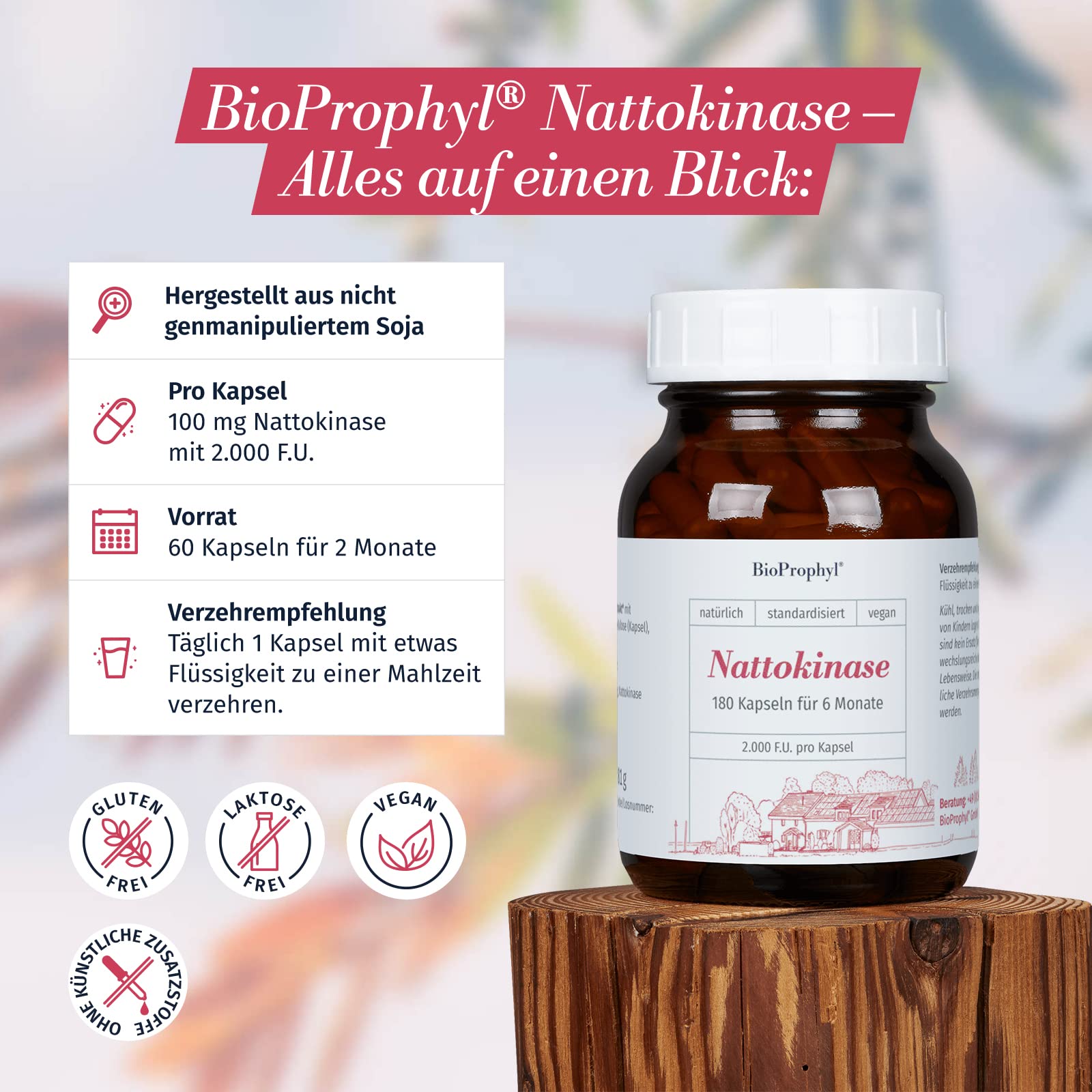 Nattokinase - 2.000 FU - 100 mg Nattokinase - 180 vegetarische Kapseln