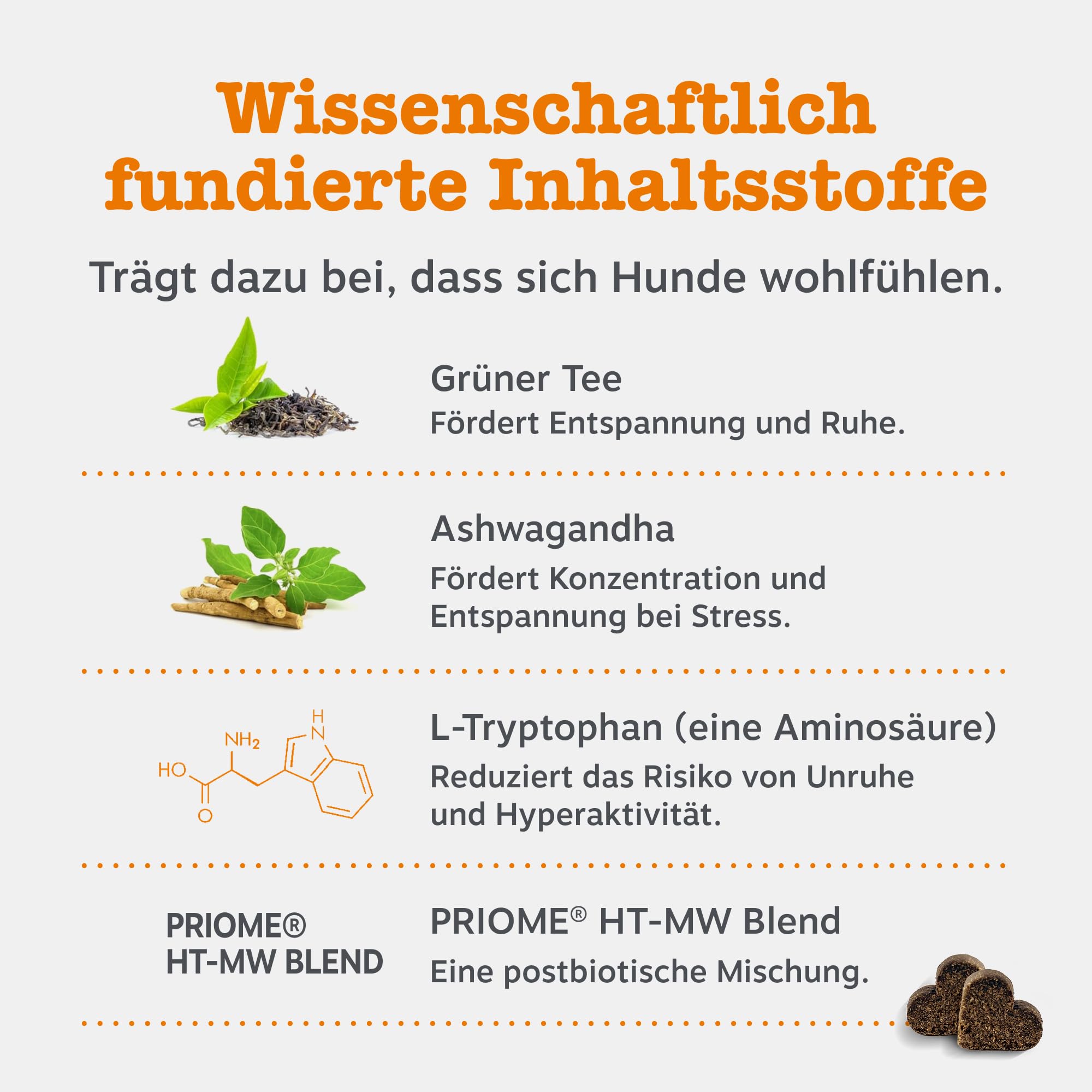 Zesty Paws Beruhigung Dogs | Unterstützt bei Trennungsangst, Stress, Hyperaktivität & Entspannung | Beruhigungsleckerlis mit Ashwagandha, L-Tryptophan & Grüntee | Für Hunde Täglich | 90 Chews