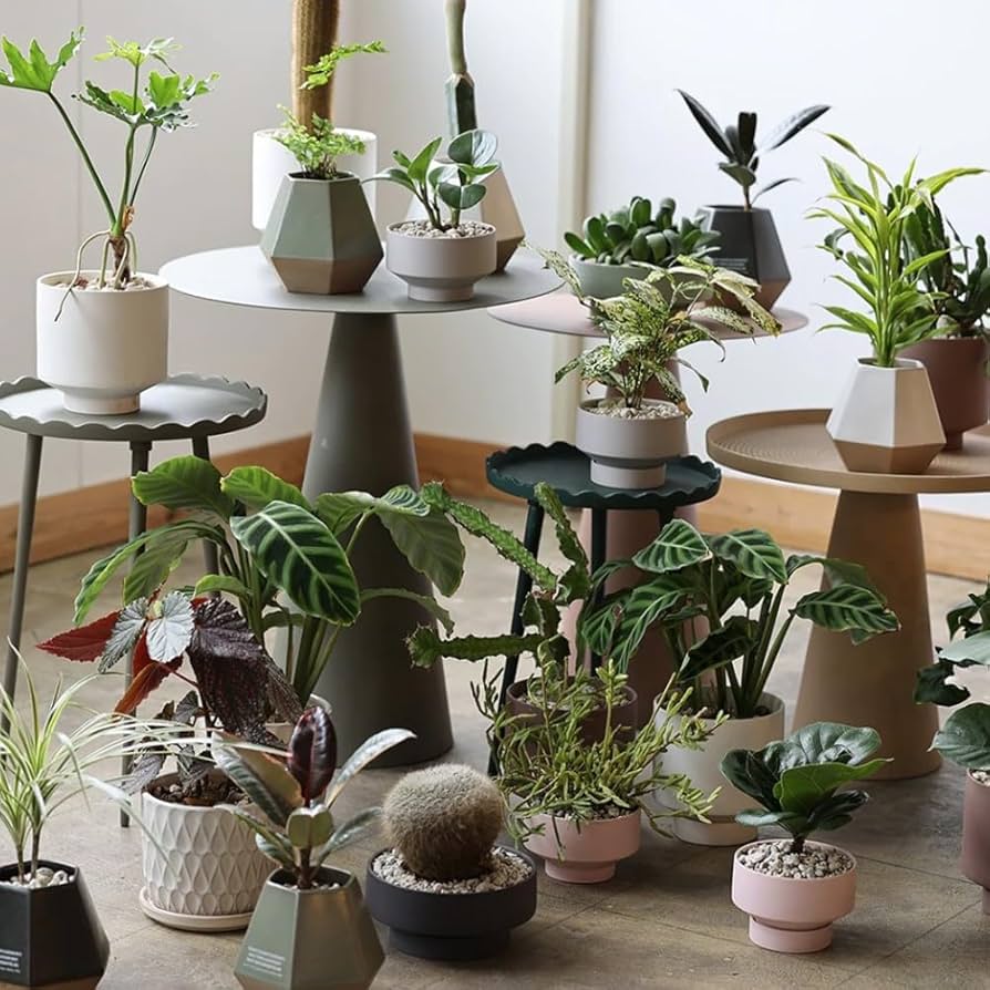 m&m アルミ鉢 M&M x MASSES – DAYZ ARCHIVES