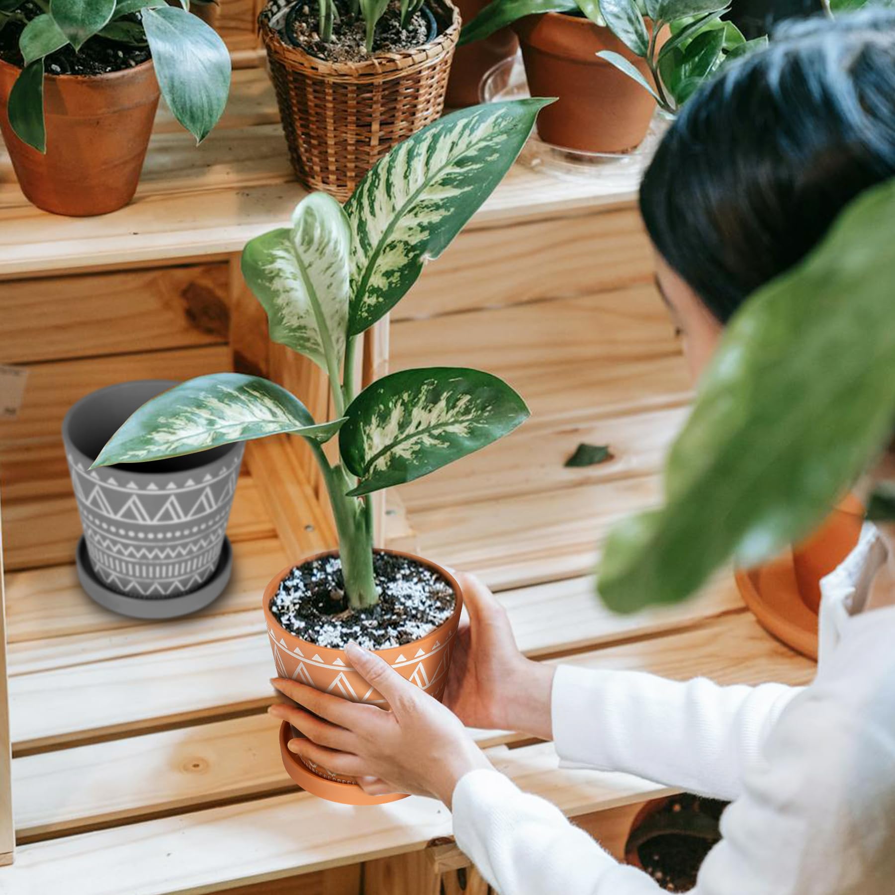 鉢　インテリア Amazon.co.jp: BUYMAX 6インチ 屋内植物用プランター、排水穴と