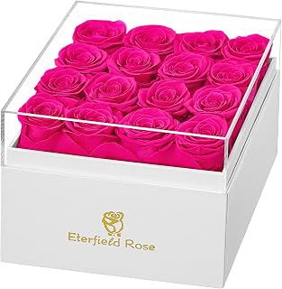 Eterfield Forever Flowers Preserved Roses Real Roses That Last Over a Year Rose Box Gifts for Her Mothers Day Valentines Day Christmas (Square White Box, 16 Hot Pink Roses)