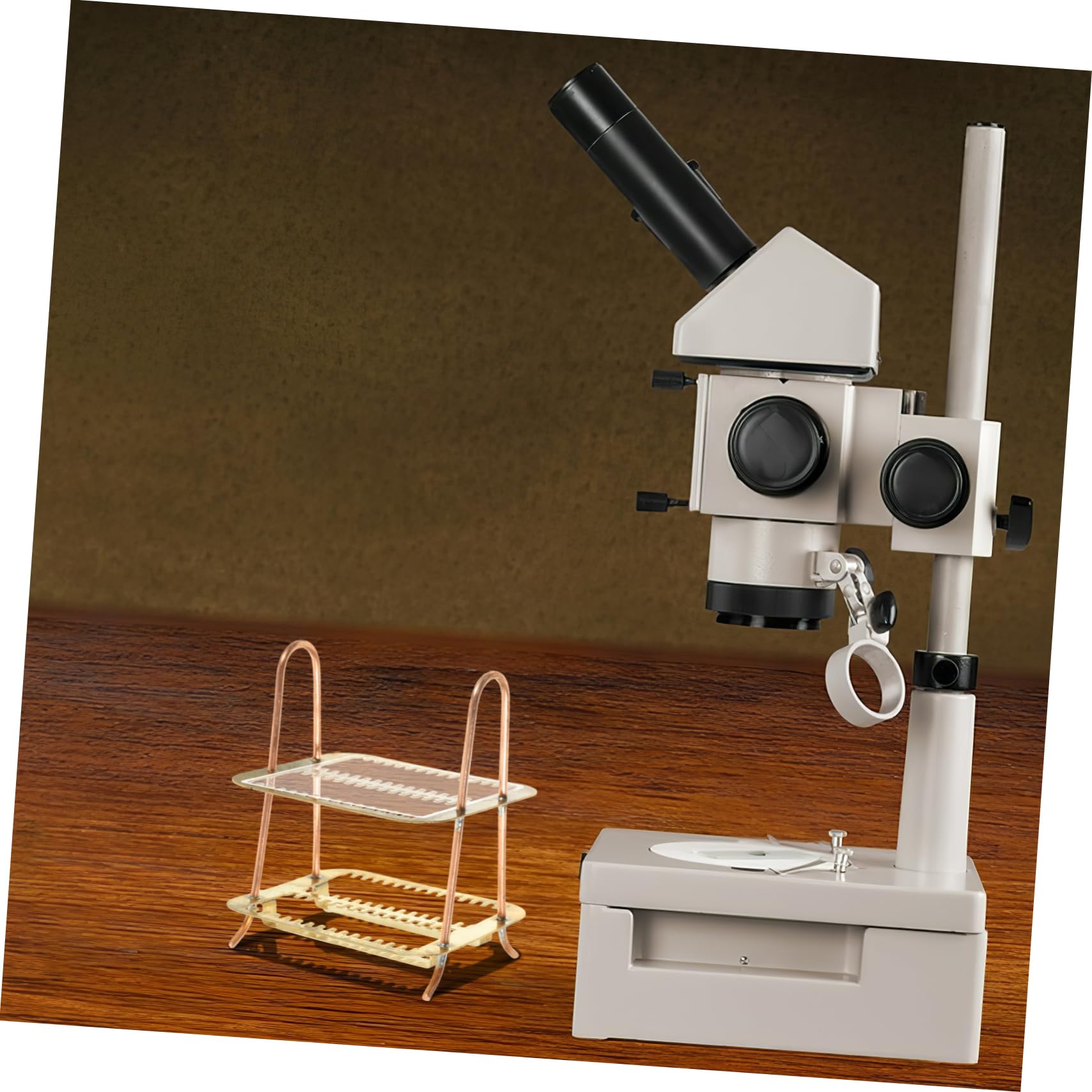 Alipis Microscope Slides Storage Rack 30-Piece Staining Rack Laboratory Metal Slide