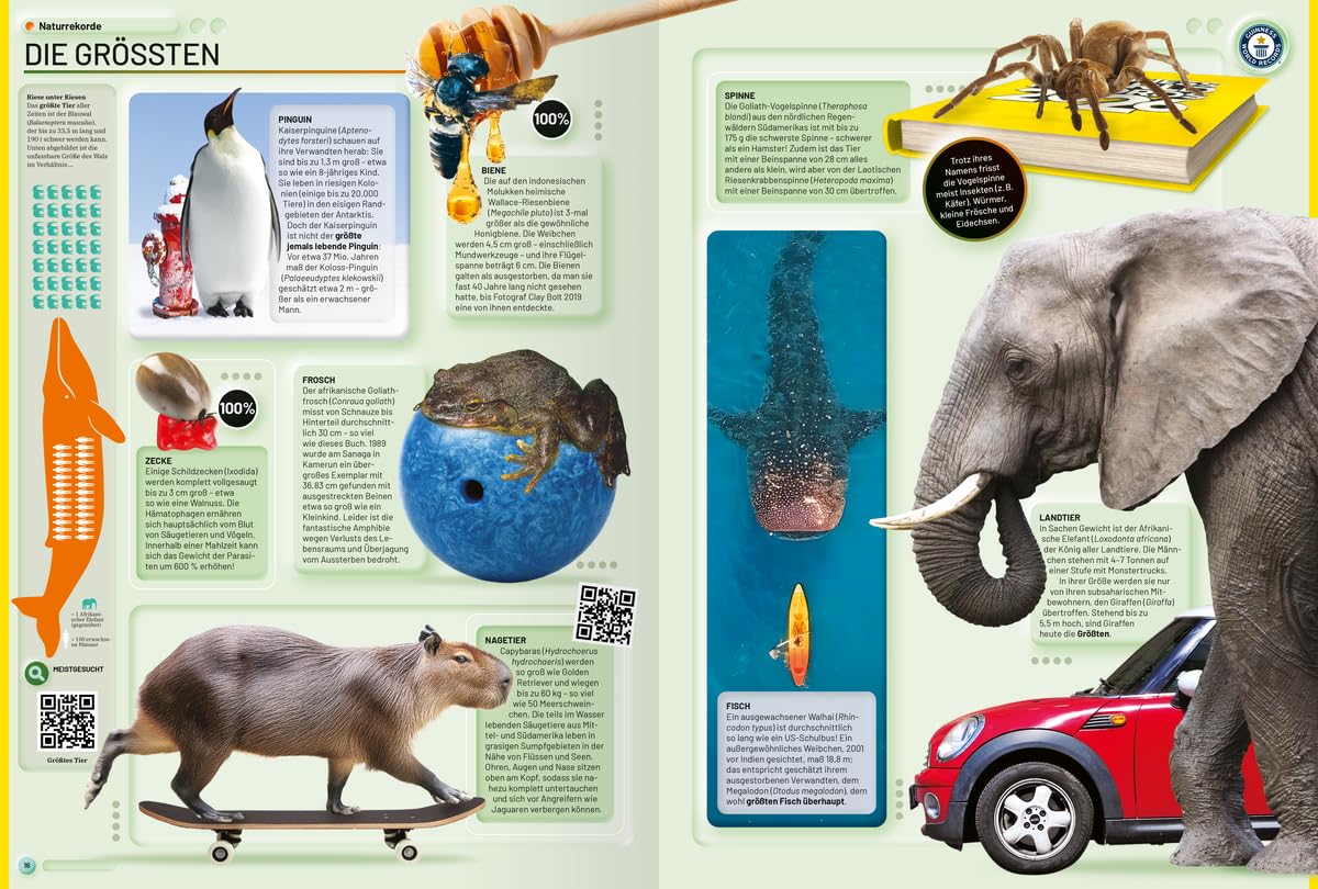 Guinness World Records - 2026: Deutschsprachige Ausgabe