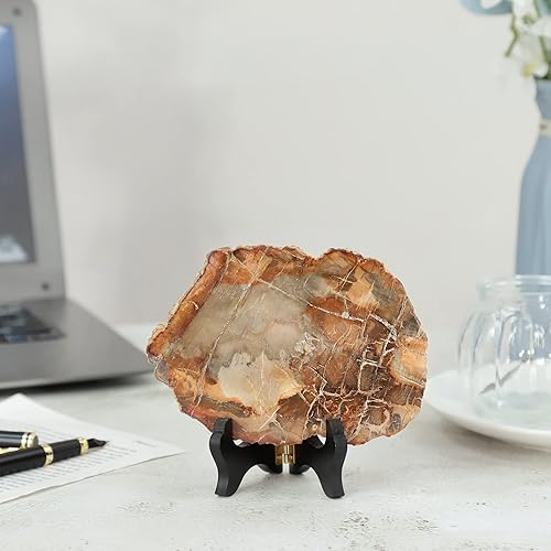 Miniatura 3 de Nupuyai Muestra de cristal de madera petrificada natural en soporte de madera exhibición de losa de piedra decorativa irregular para oficina en casa