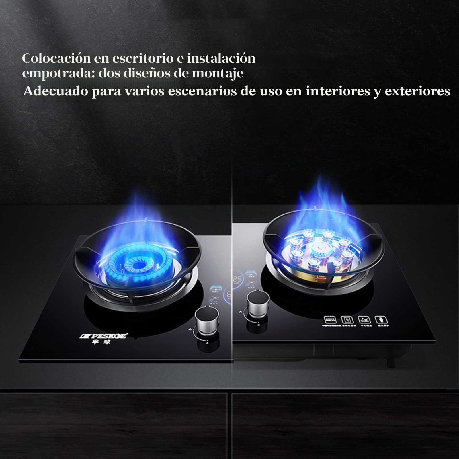 THEGA Estufa De Gas - Estufa A Gas - Estufa Gas, 2 Quemadores De Gas, Cocina Casera Estufa De Gas Portátil, Encendido De Vidrio Templado Camping Doble Quemador LPG/NG, 5.2KW (Color : PLG)