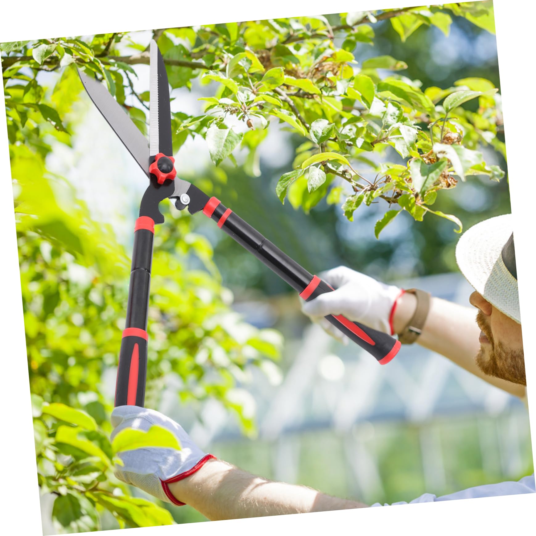 BESPORTBLE Cisaille à Haie Manuelle Outils De Jardinage Coupe-bordures Pour Arbustes Et Fleurs Poignée Ergonomique Caoutchouc