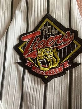 元阪神タイガース桧山24選手の記念スタンド盾割れ汚れあり 元阪神タイガース桧山24選手の記念スタンド盾割れ汚れあり 元