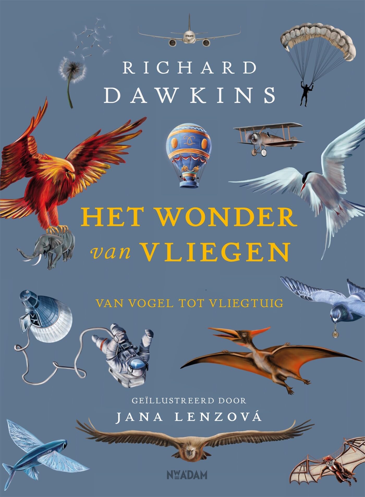 Het wonder van vliegen: van vogel tot vliegtuig