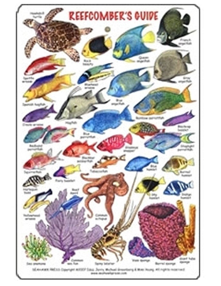Appât pour poisson à queue en T - VGEBY - 10 cm - 7 pièces - Silicone